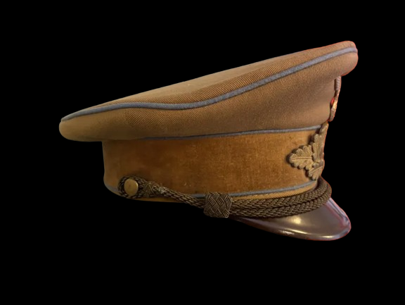 Ortsgruppe level, NSDAP Political Leader's Visor Cap - Militaria Khan